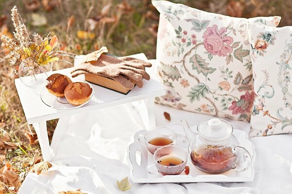 Picnic in autumn in a meadow among leaves and grass