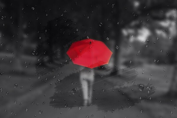 Red umbrella in black and white photo