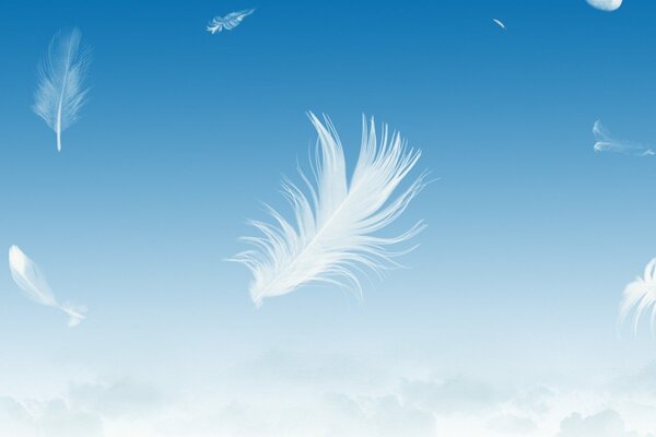 The feather can easily spin in the sky