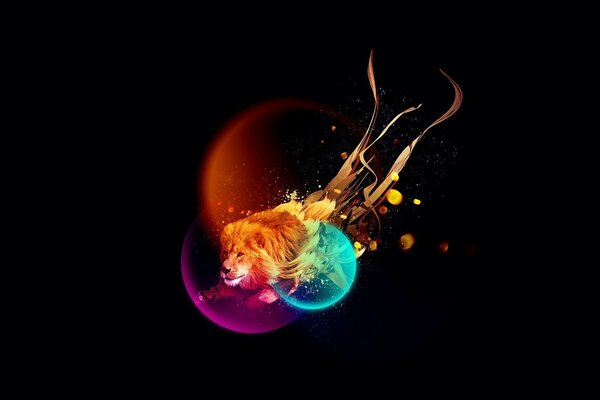 A lion in multicolored balls on a black background