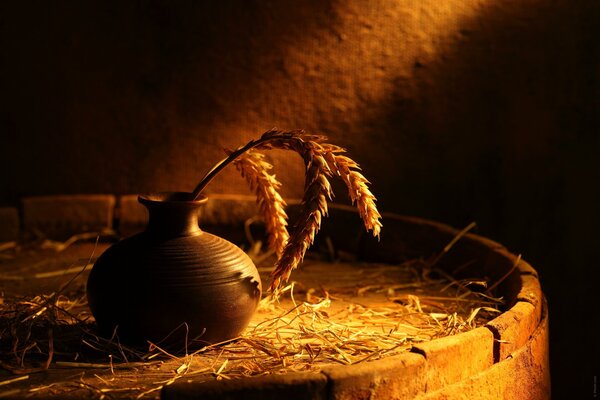 A barrel completely filled with freshly harvested ears