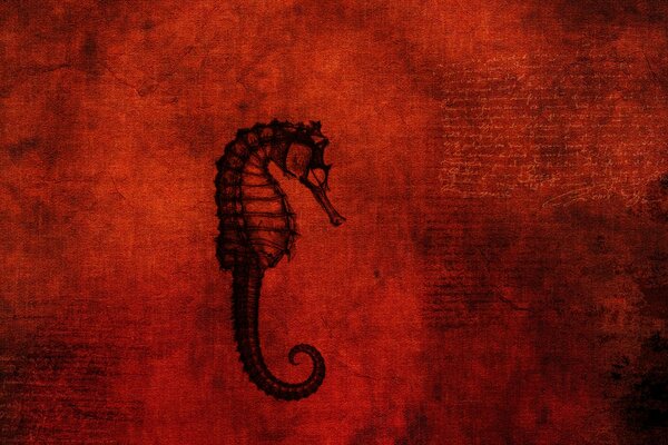 Drawing of a seahorse on a red background