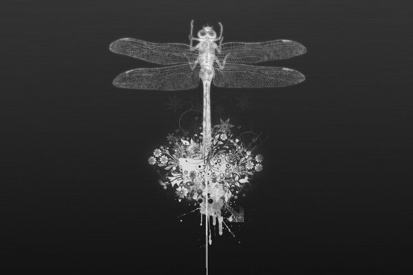 Dragonfly on a dark background and flowers