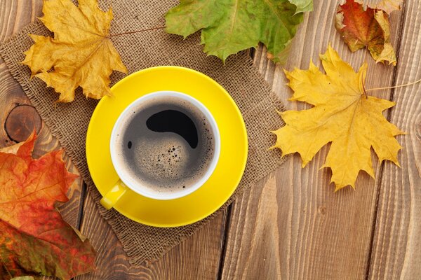 Yellow coffee cup autumn leaves