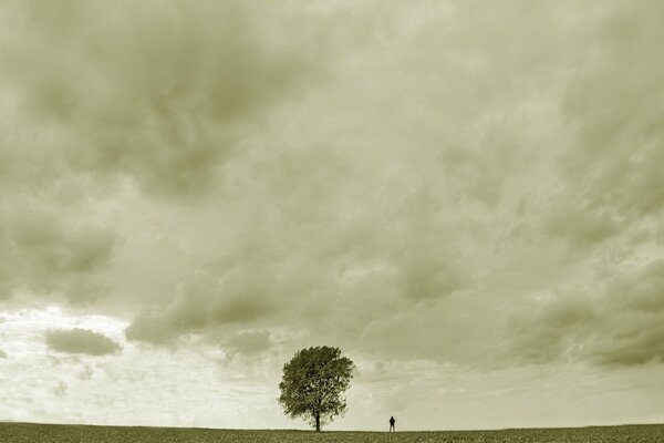 Grey landscape with a tree and a sad man