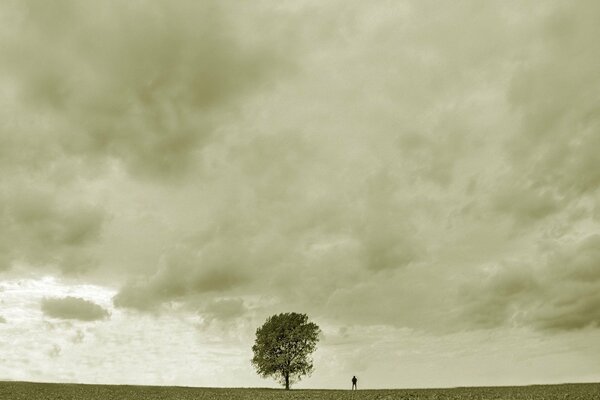 Paisaje gris con un árbol y un hombre triste