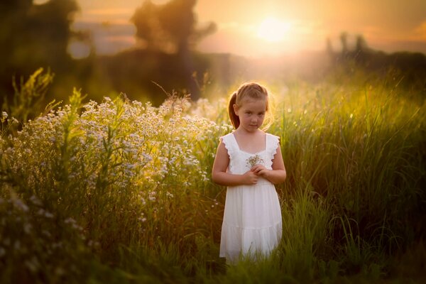 Little girl in a white dress in the summer in the field