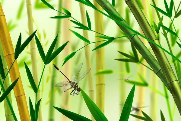 I don t even have a dragonfly for the last years of my life I worked at the department with a total area of the center of Moscow