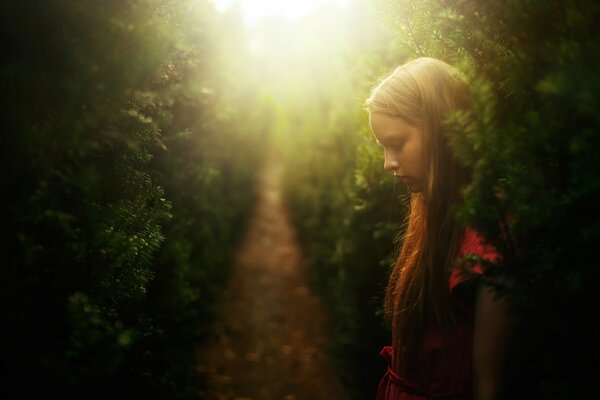 Fille perdue dans le labyrinthe vert