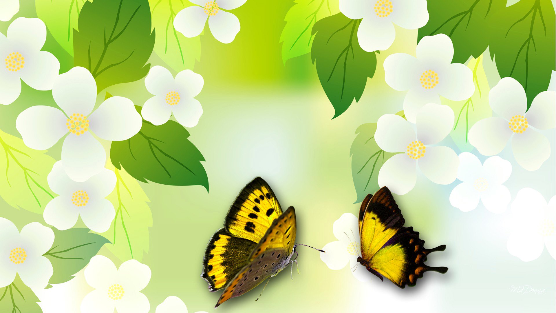 collage fleurs feuilles printemps papillon