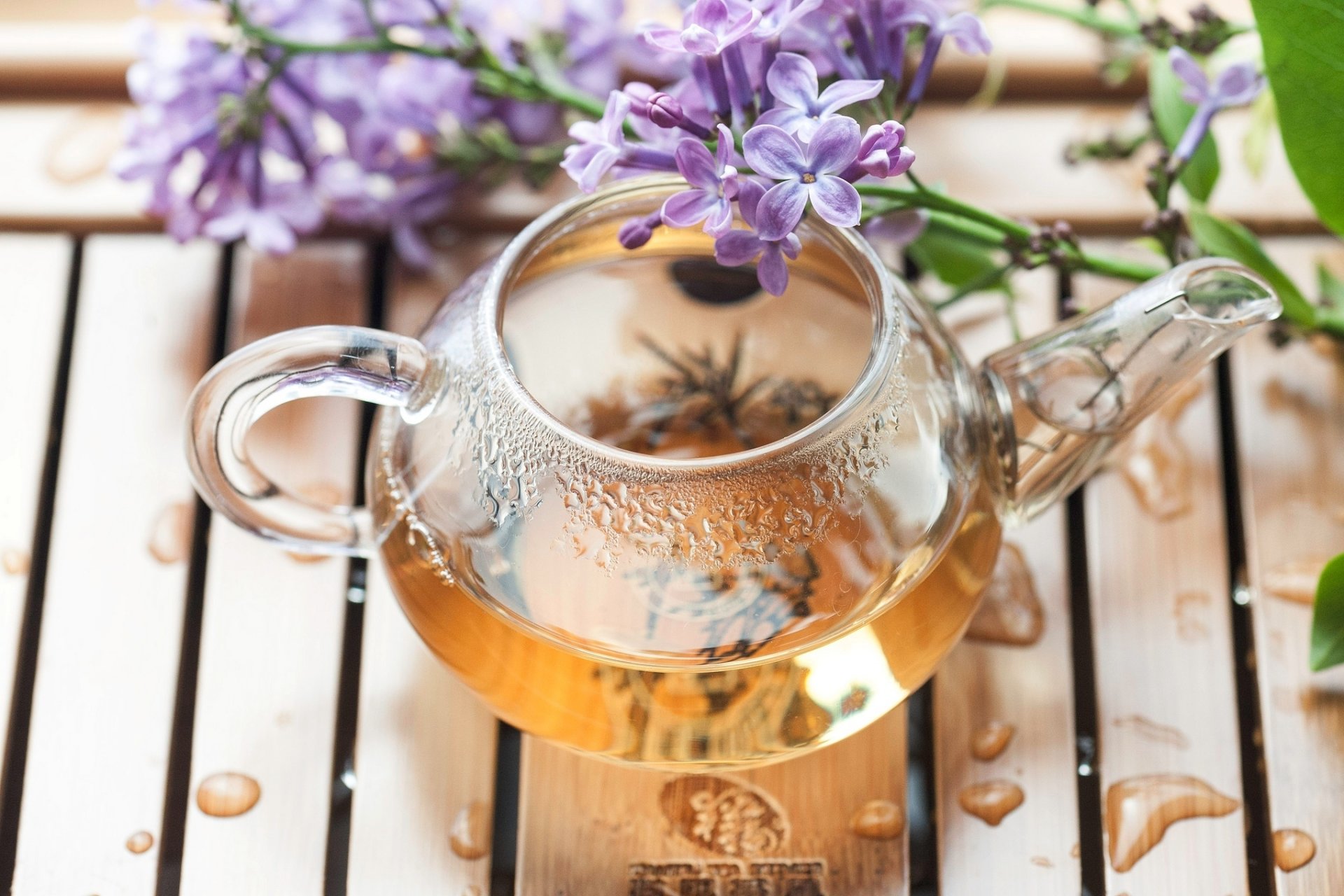 tea kettle tray flower lilac branch