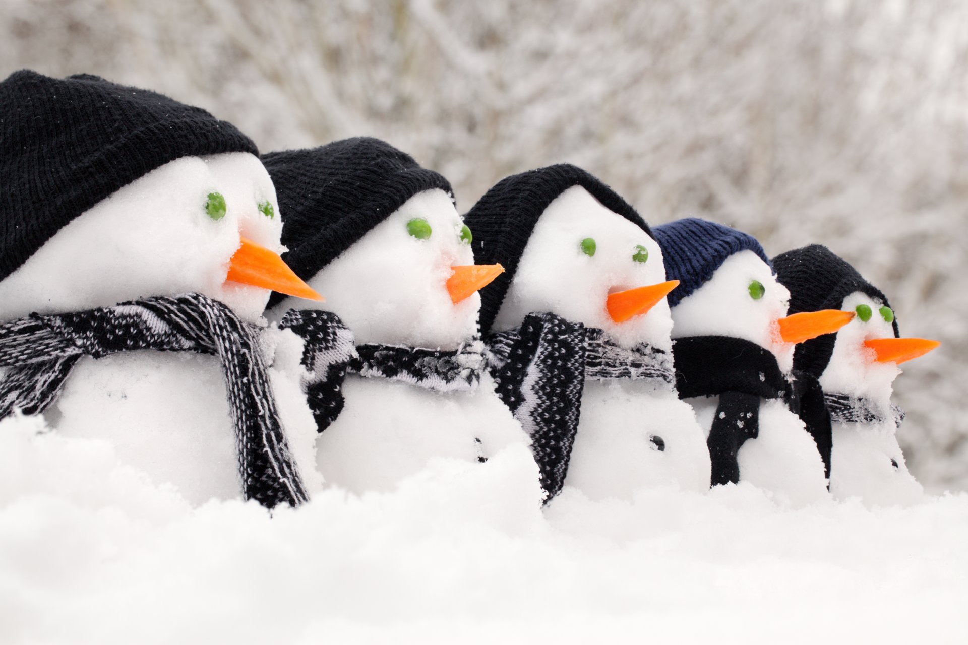 nowmen hats scarf carrots snow