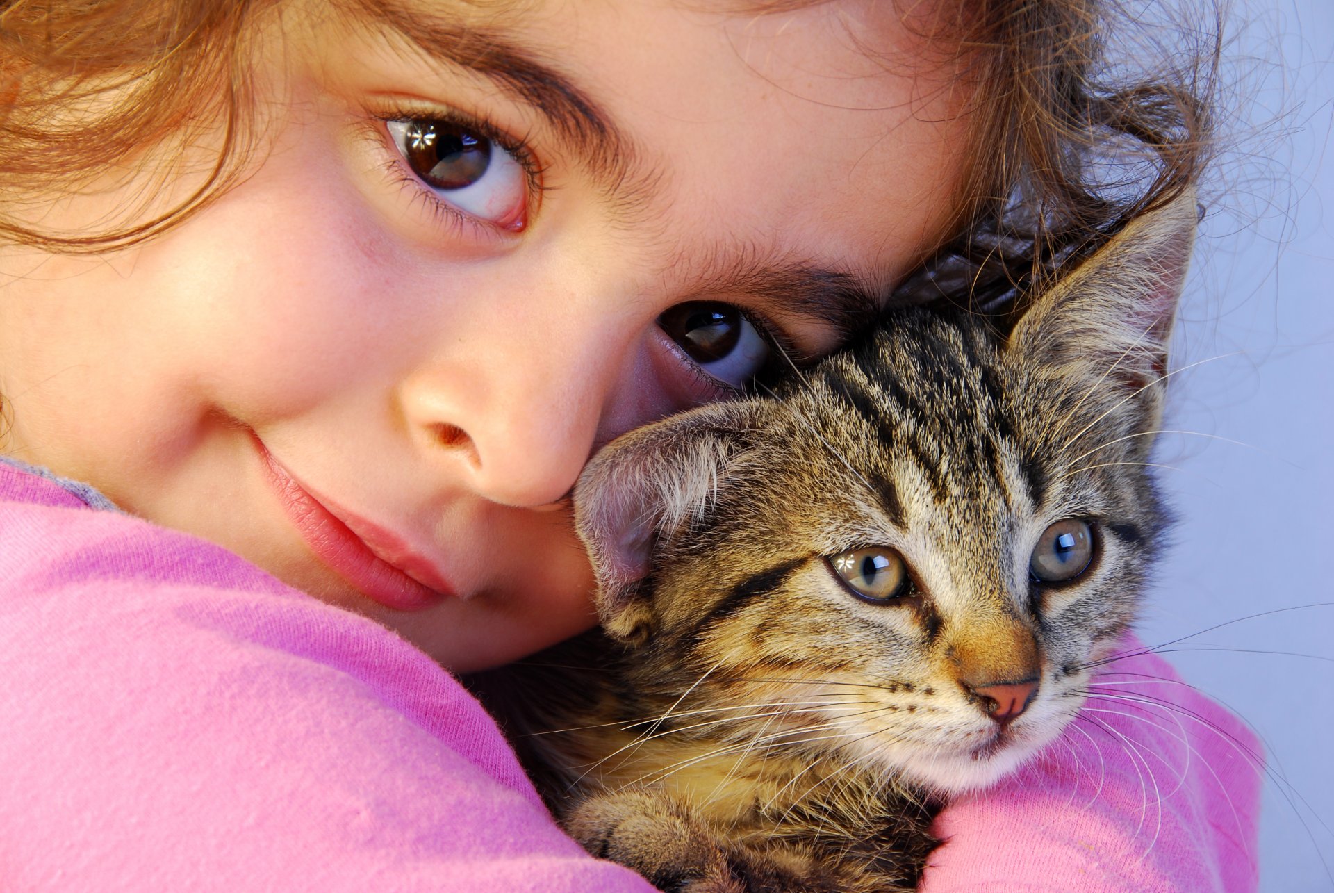 estado de ánimo ojos marrones mirada animal gatito