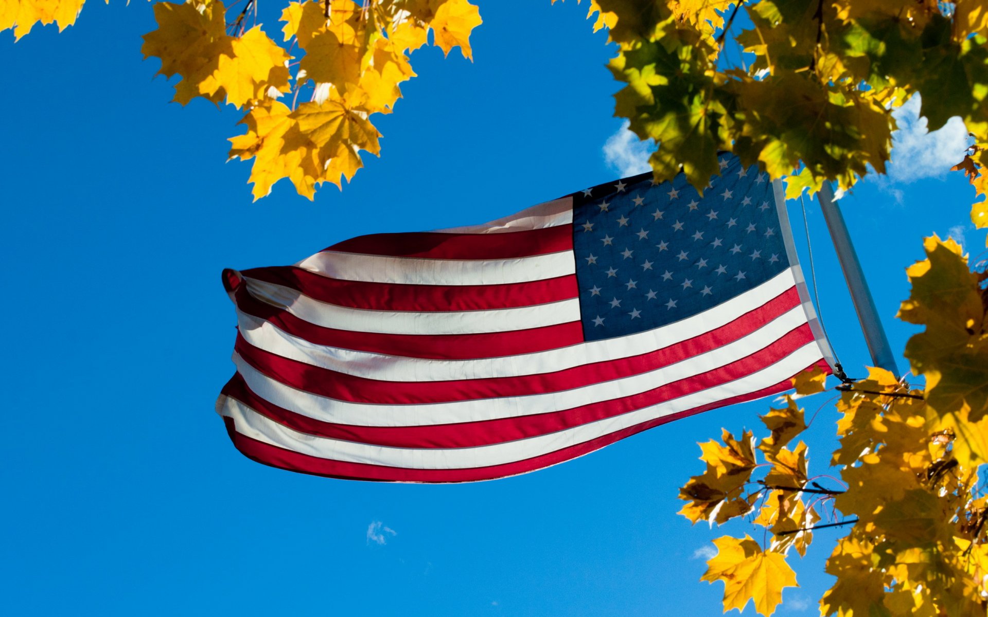 flag leaves sky