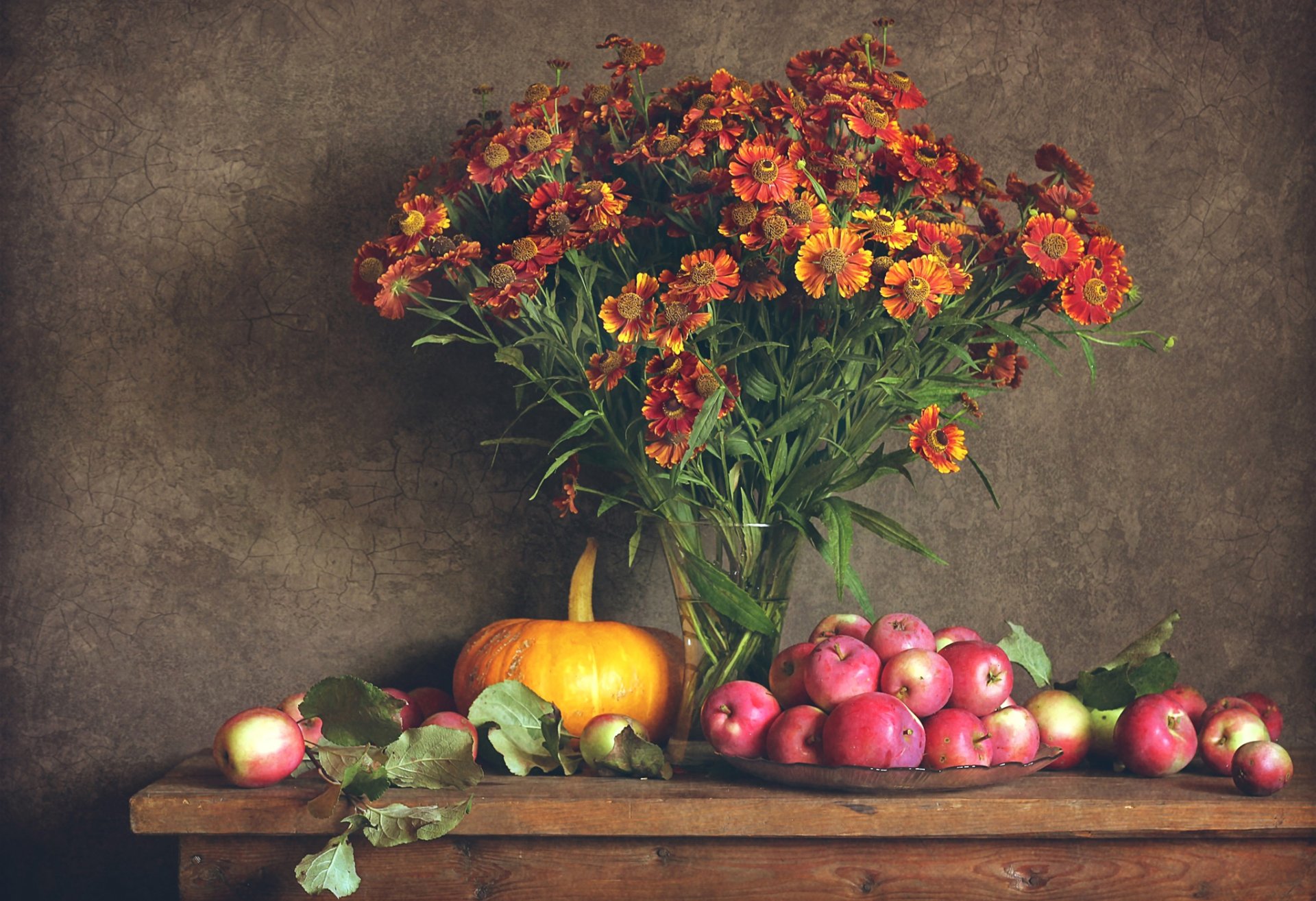 till life flower apples pumpkin autumn