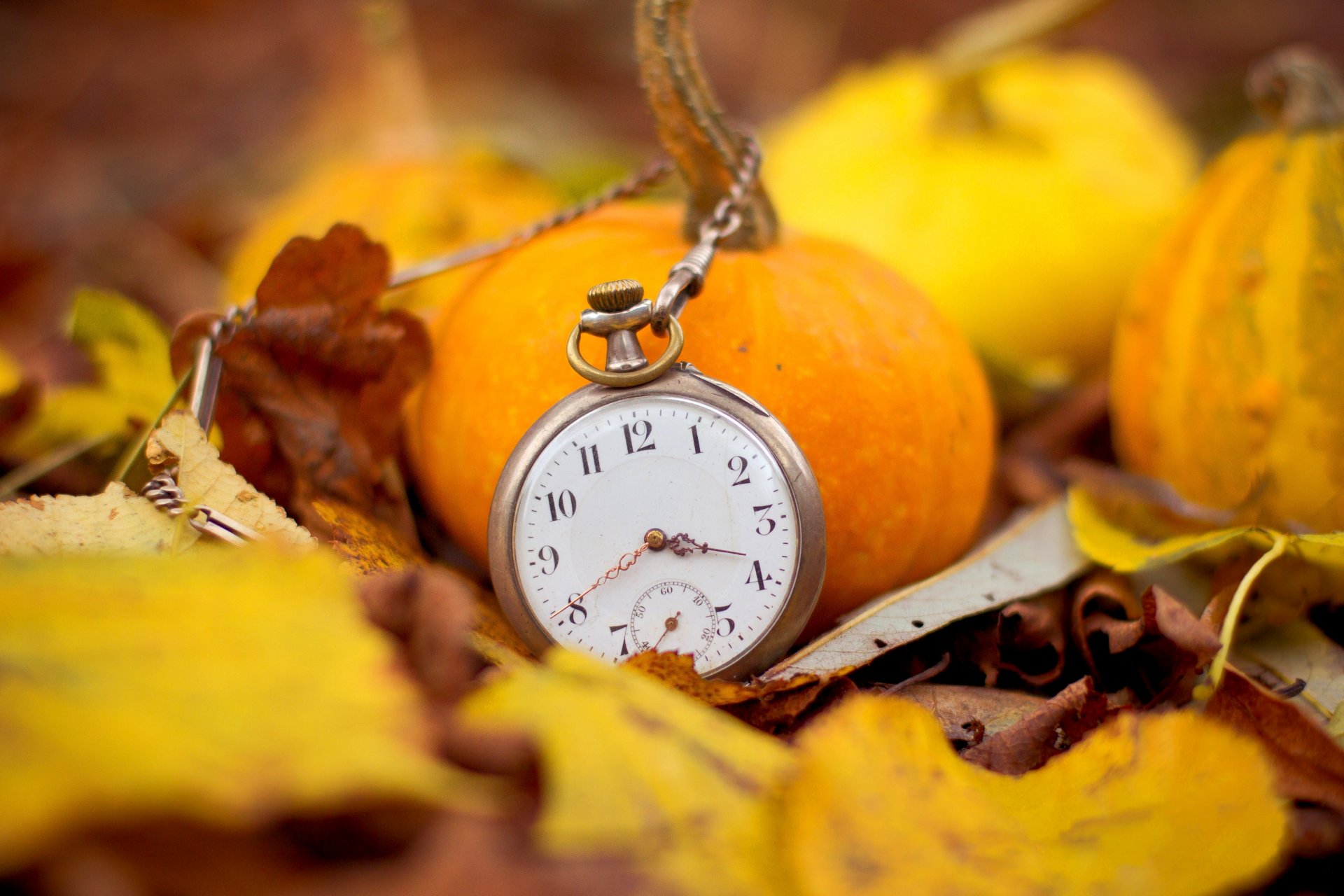 montre chaîne cadran mains temps feuilles citrouilles automne