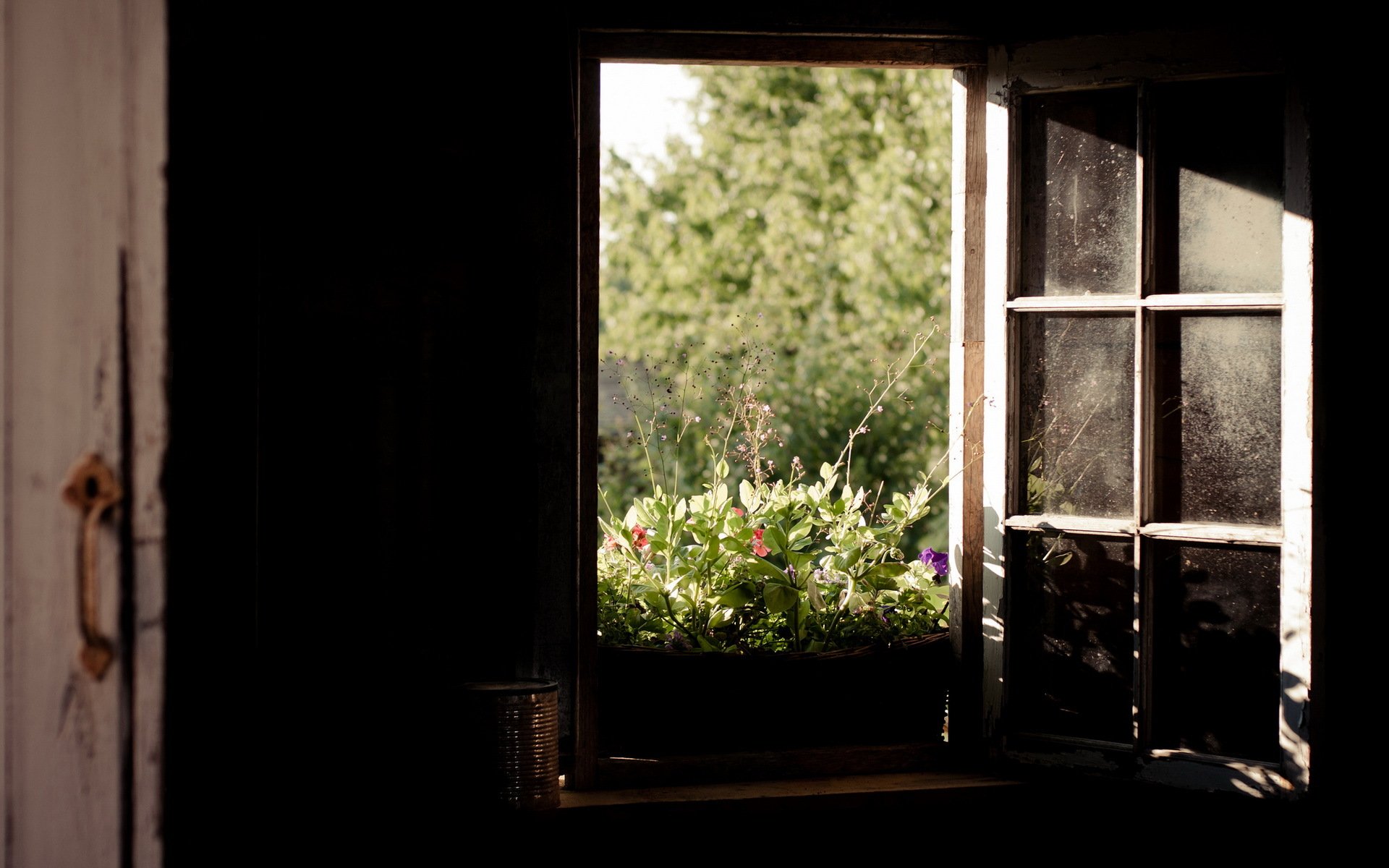 zimmer fenster natur