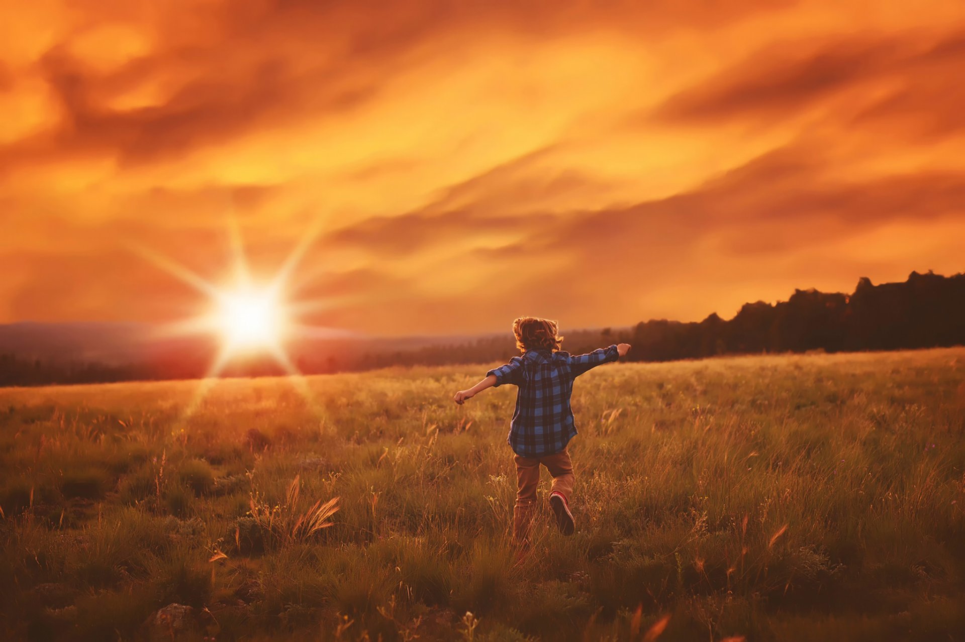 correr campo sol