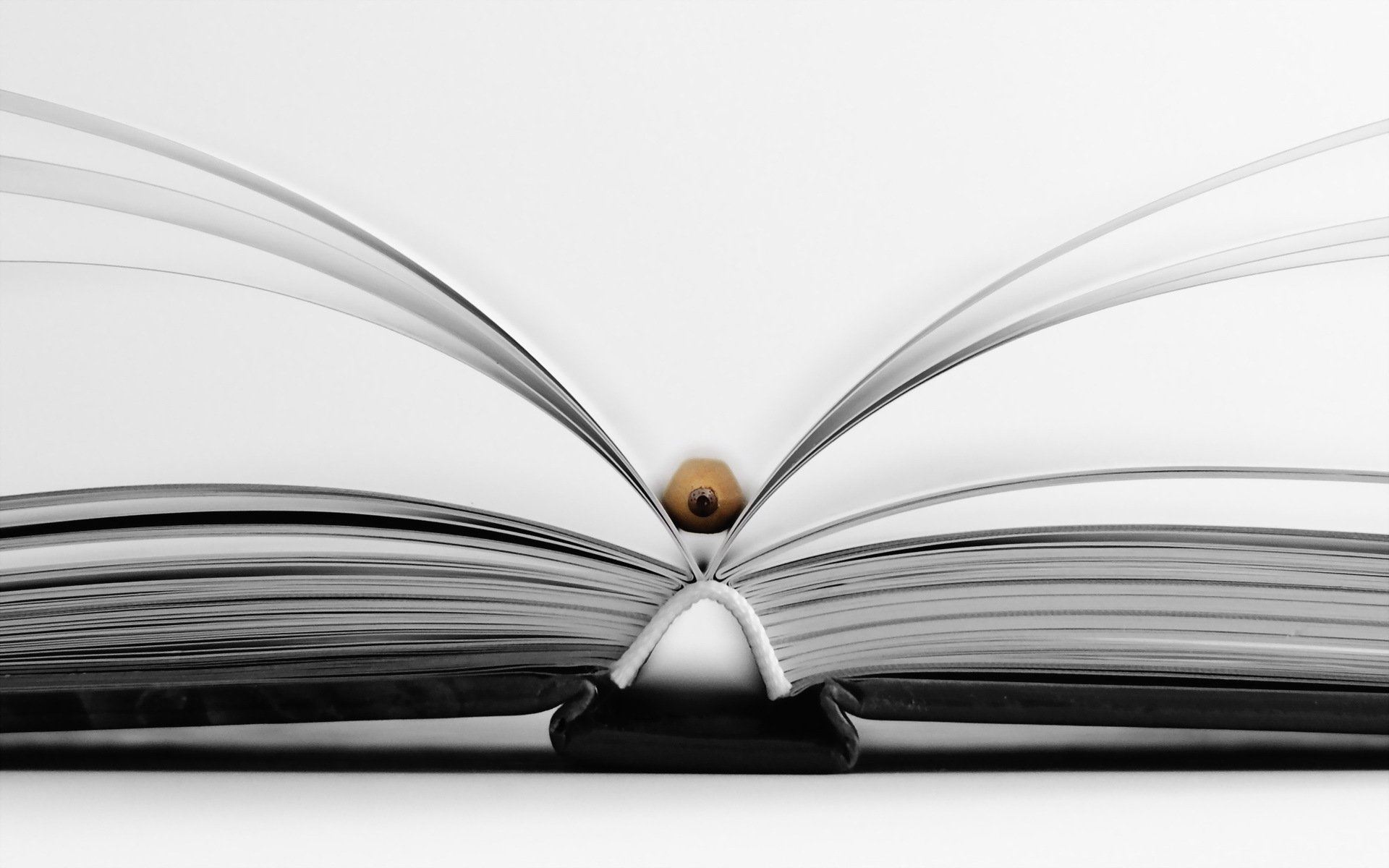 libro matita forma