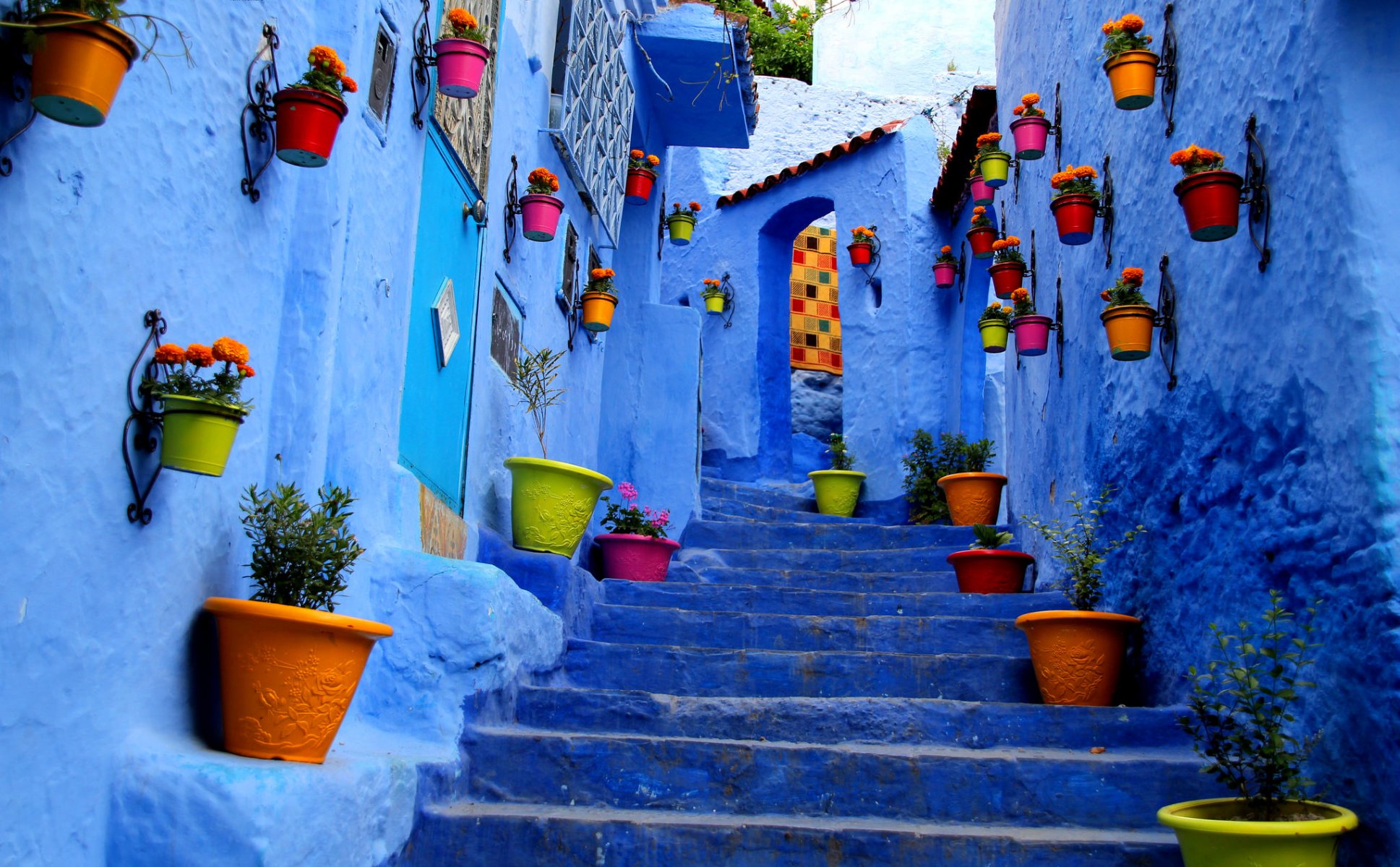 pasos calle ciudad casa pared pintura maceta flores