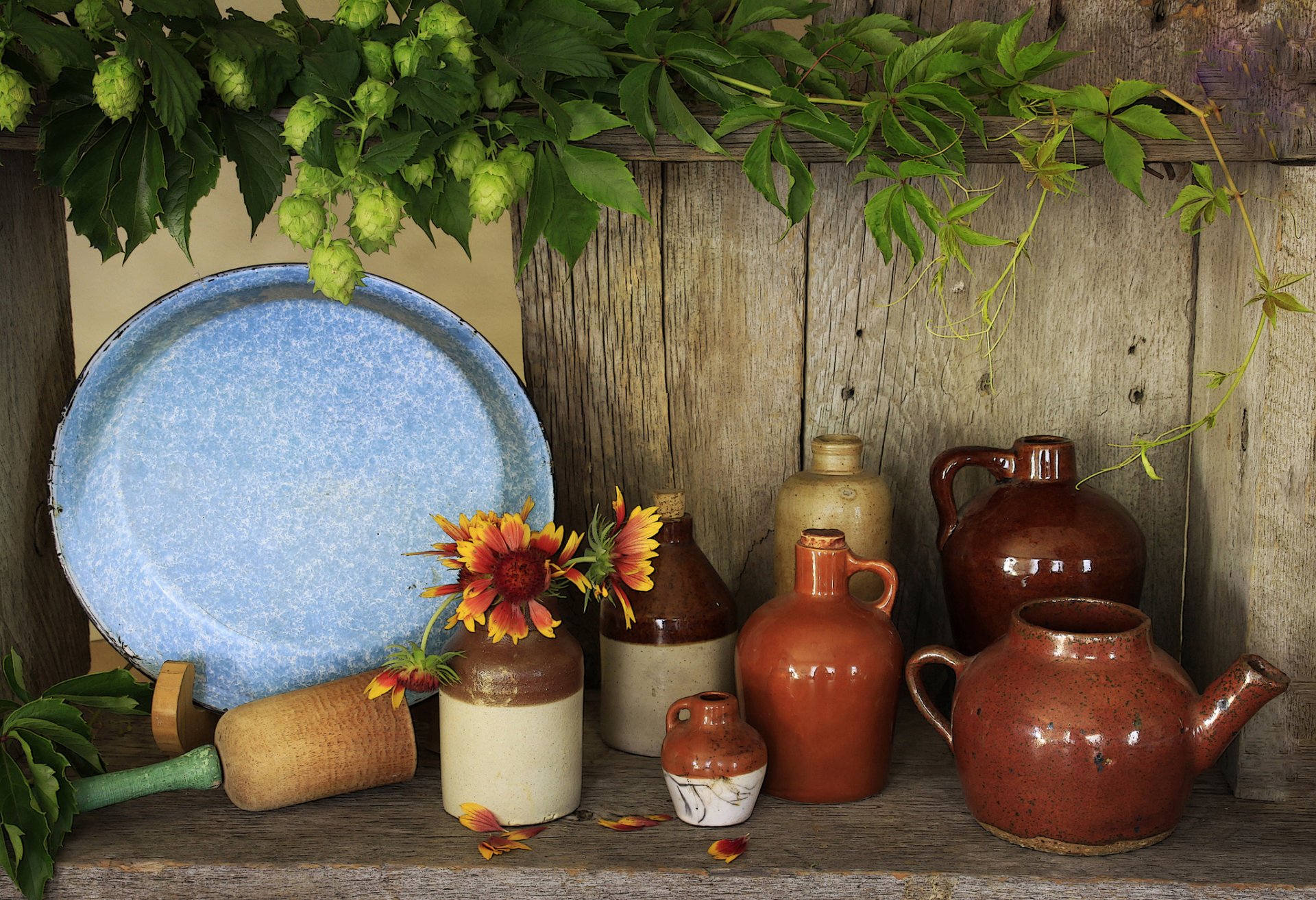 tableware carafes hops leave