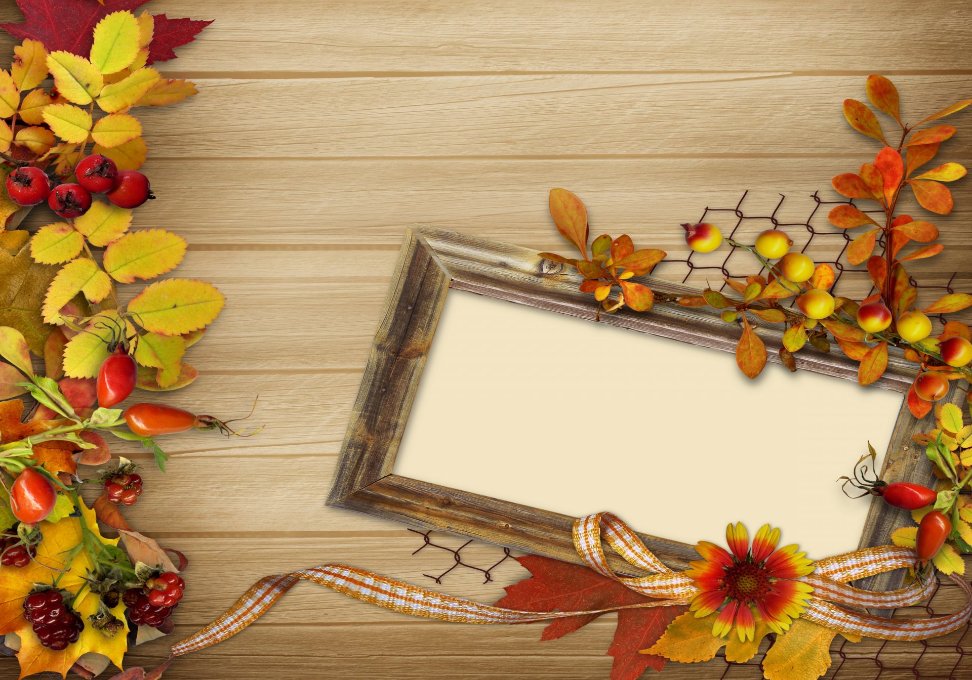 autunno vintage sfondo foglie bacche fiori cornice
