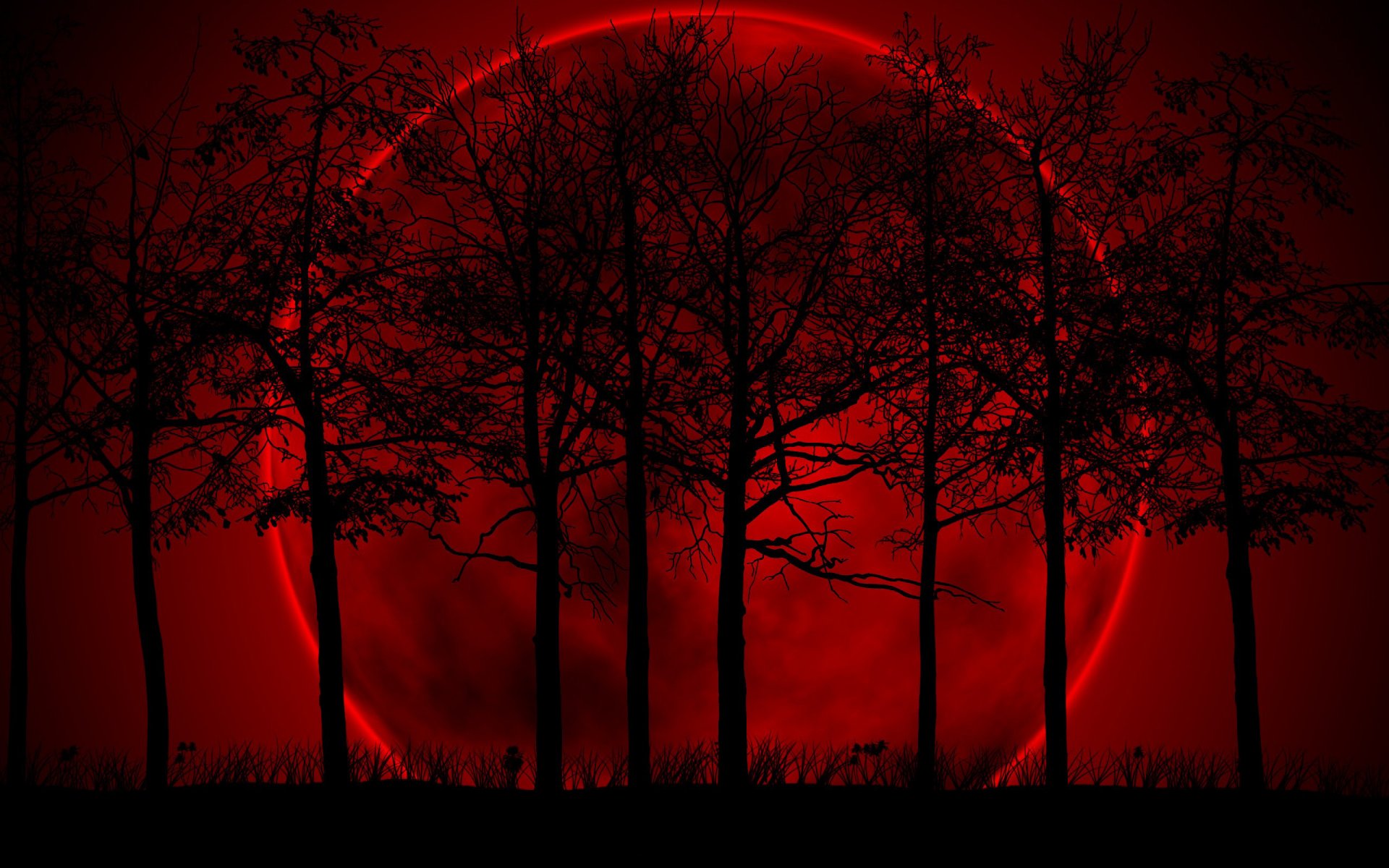 alberi rosso nero luna oscurità oscurità sfondo