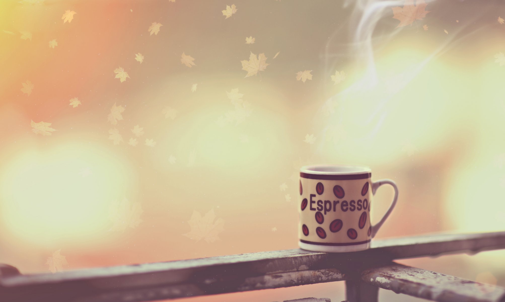 photographe alessandro di cicco photo expresso café matin tasse