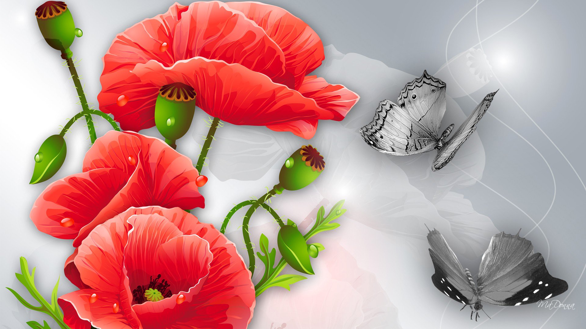 fiori papaveri farfalla collage disegno vettoriale