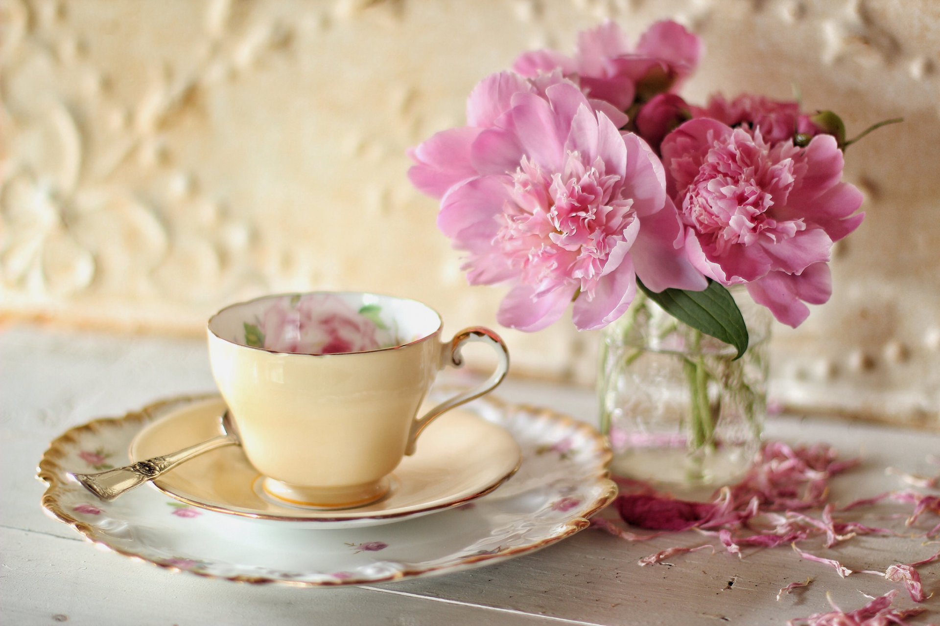 blumen pfingstrosen blütenblätter tasse untertasse