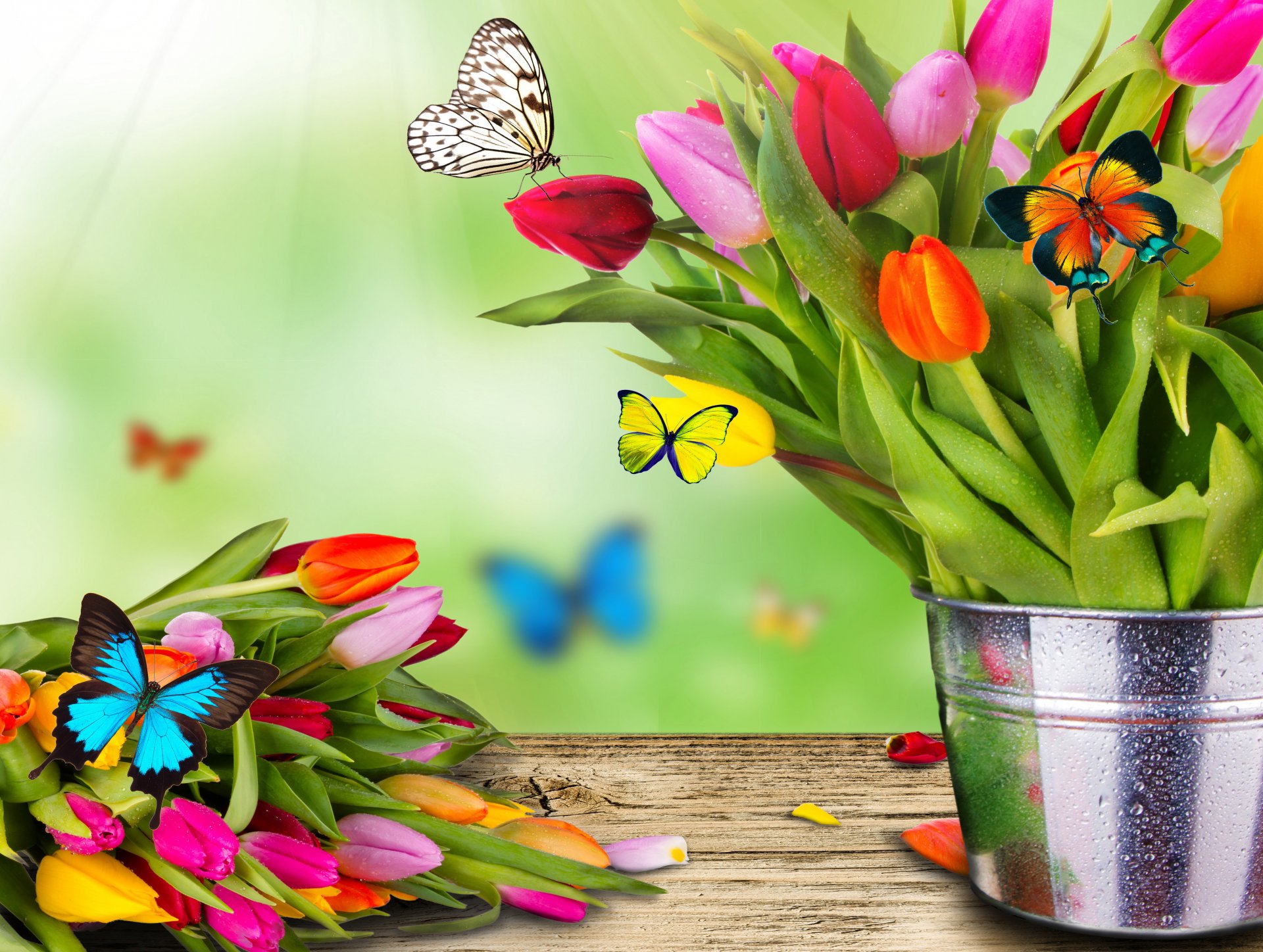 primavera fiori tulipani secchio bouquet farfalla falena collage