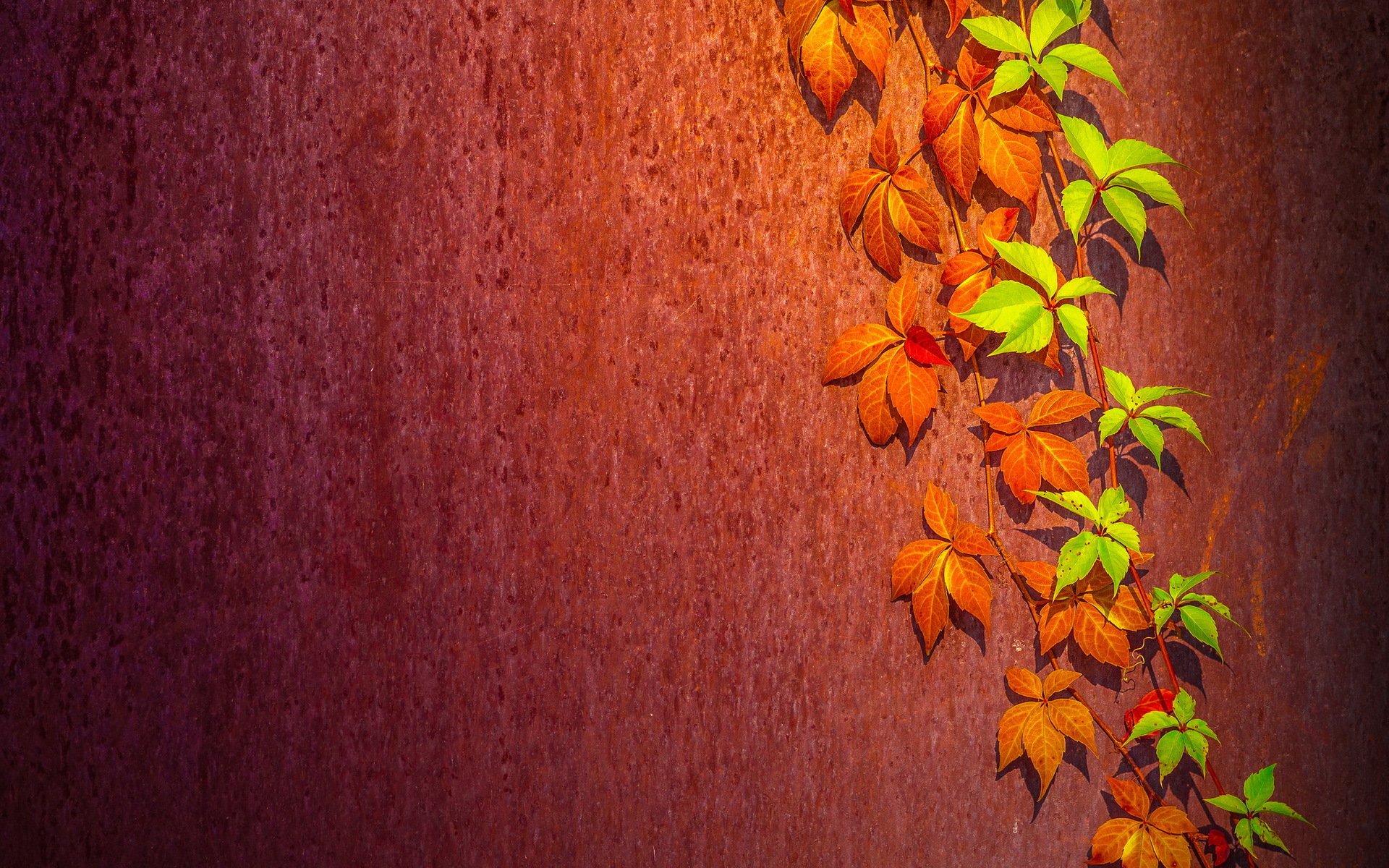 wand blätter hintergrund