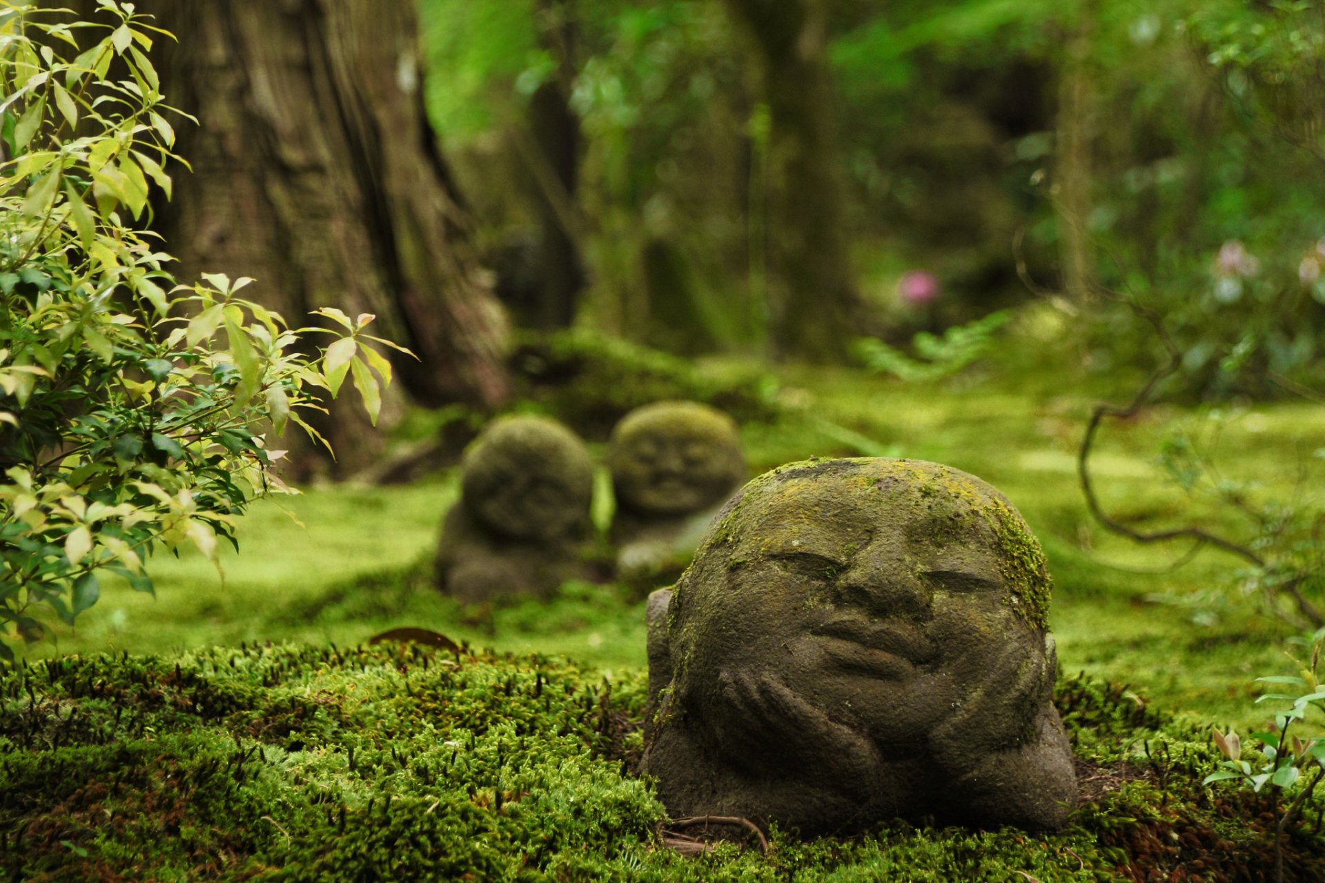 anzen-dans le temple ohara kyoto japon temple sculptures