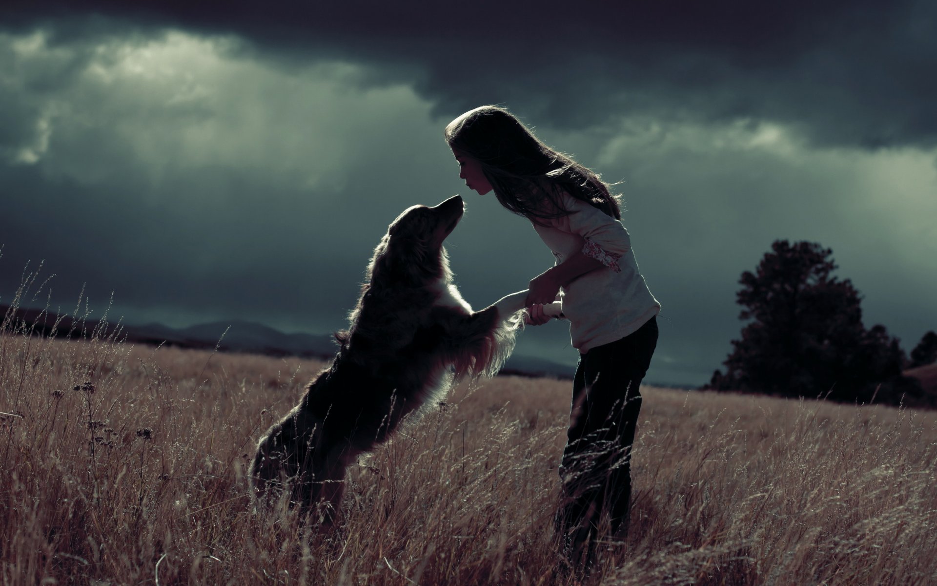 girl dog the field happine