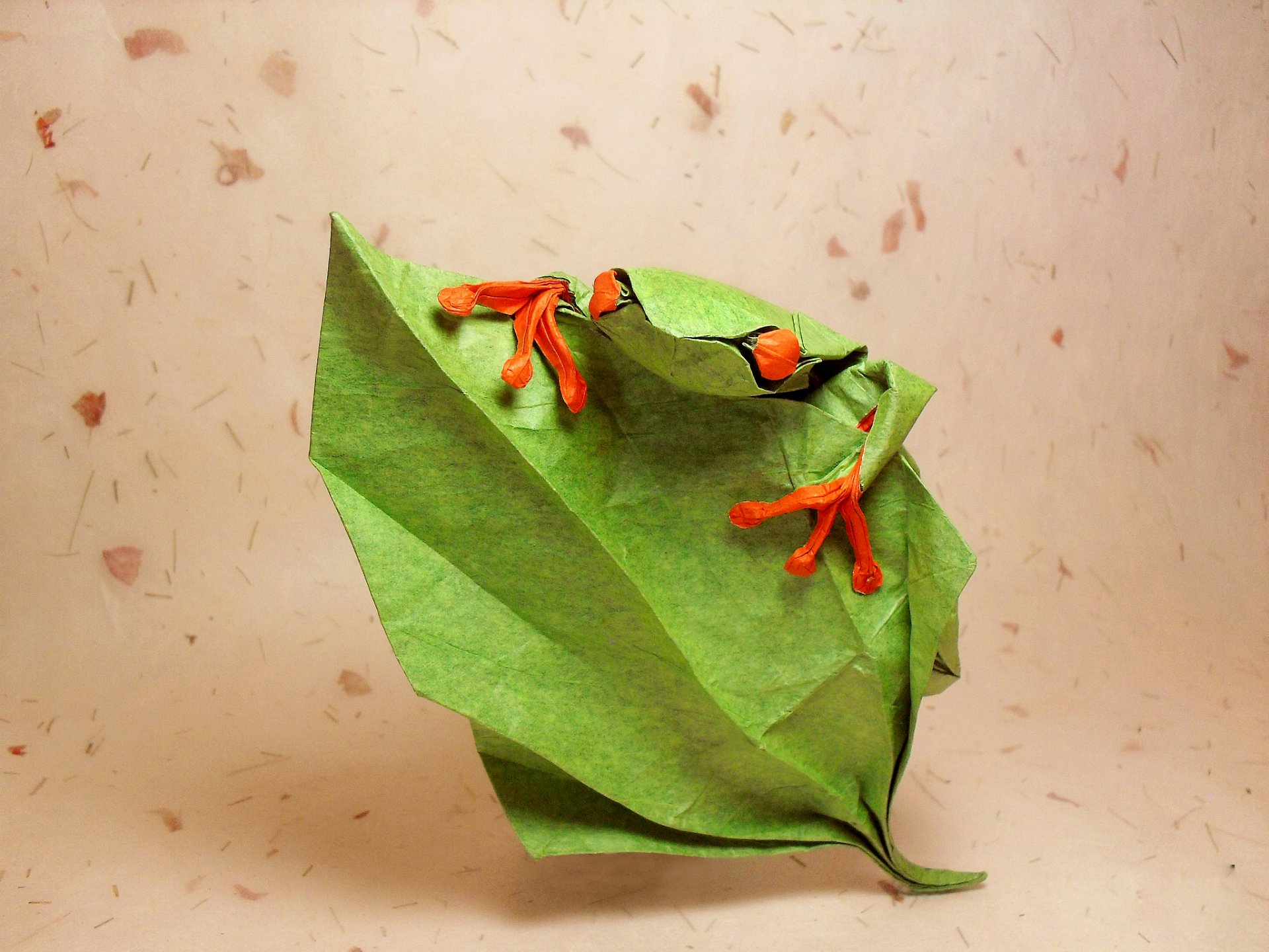 origami rana occhi foglia salire verde foglie salire