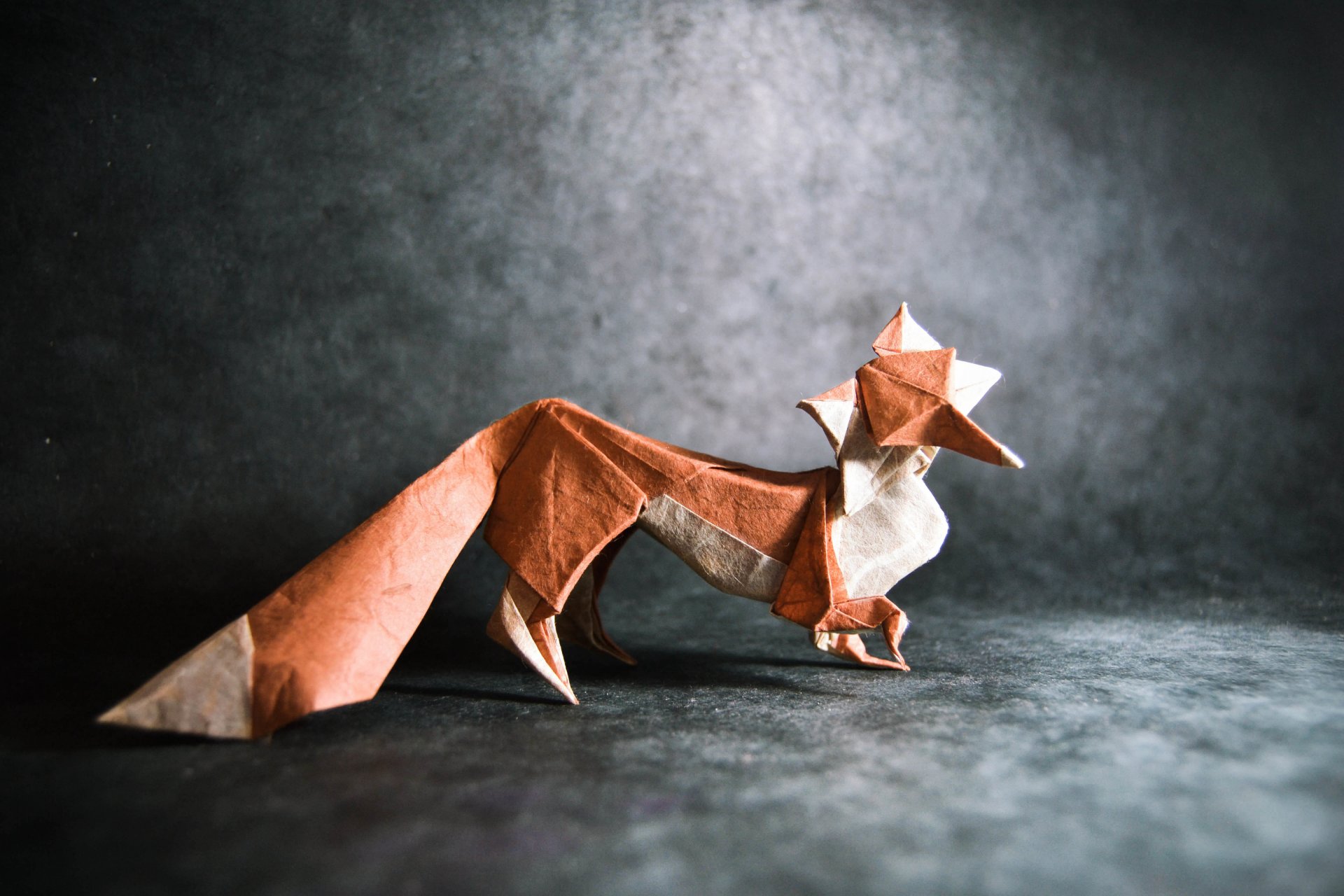 origami volpe coda grigio