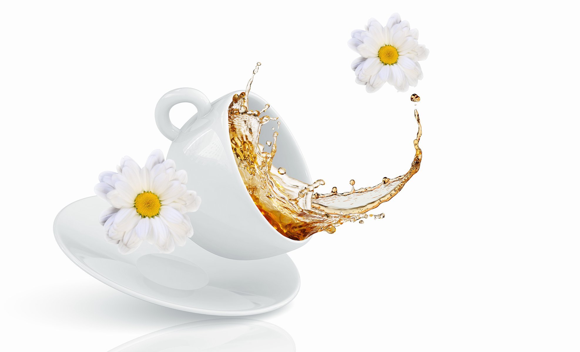 cup tea spray flowers chrysanthemums spray