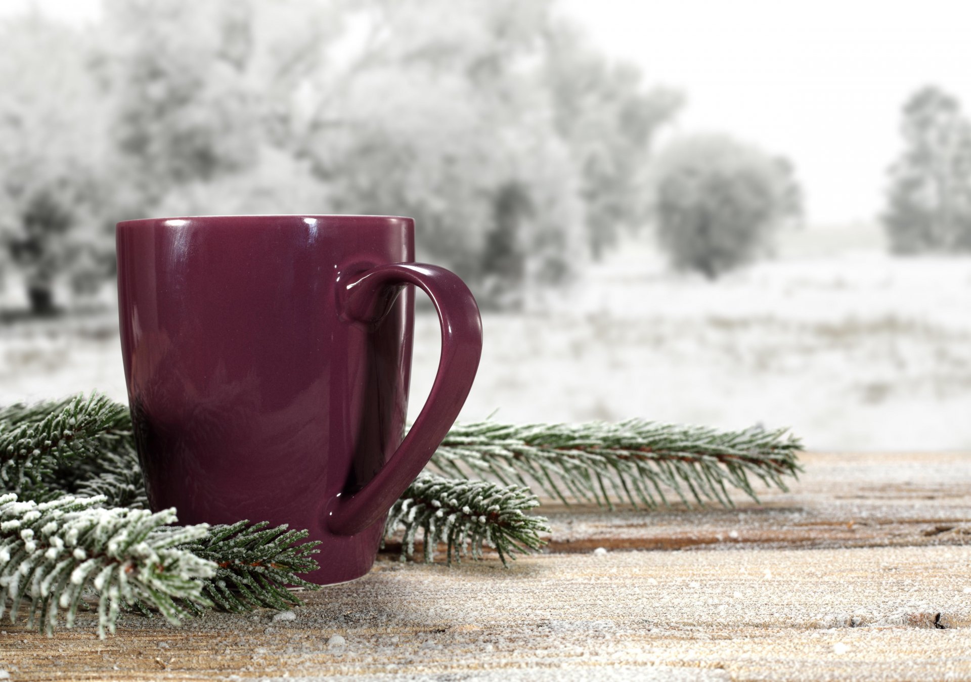 inverno neve natura tazze caffè paesaggio
