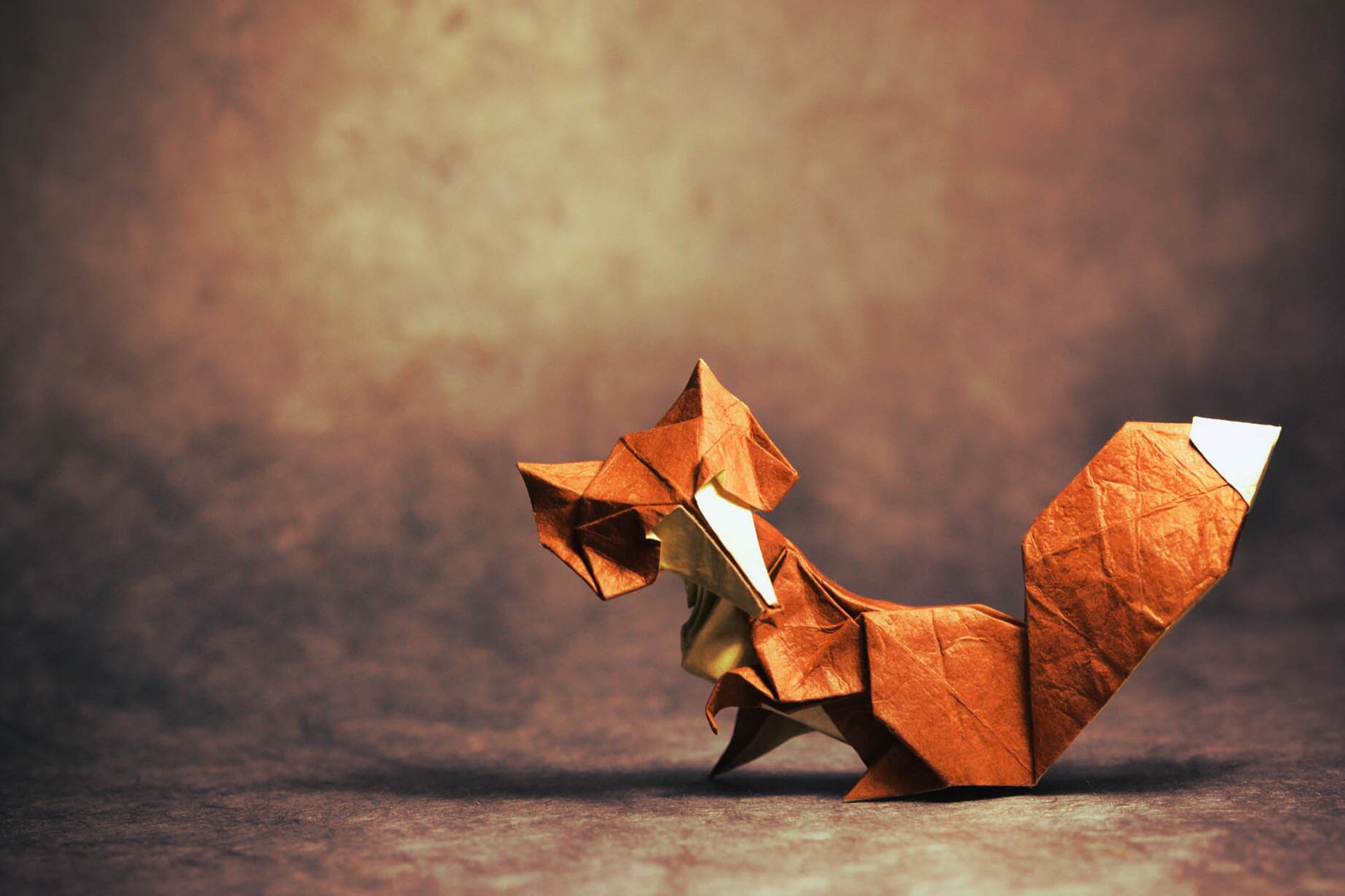 origami zorro buscando cola sombra mirando