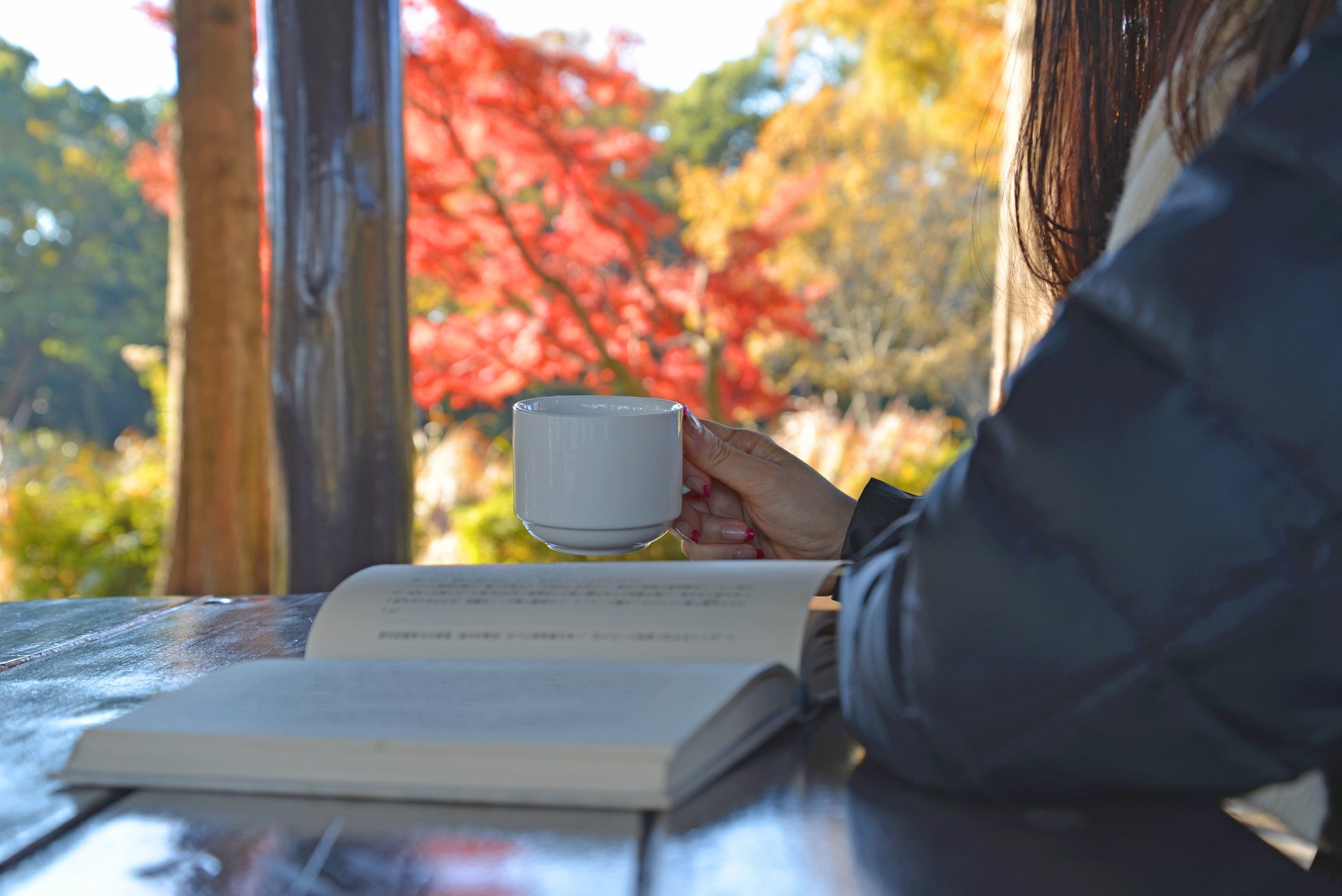 mujer libro bebida ventana té taza lectura