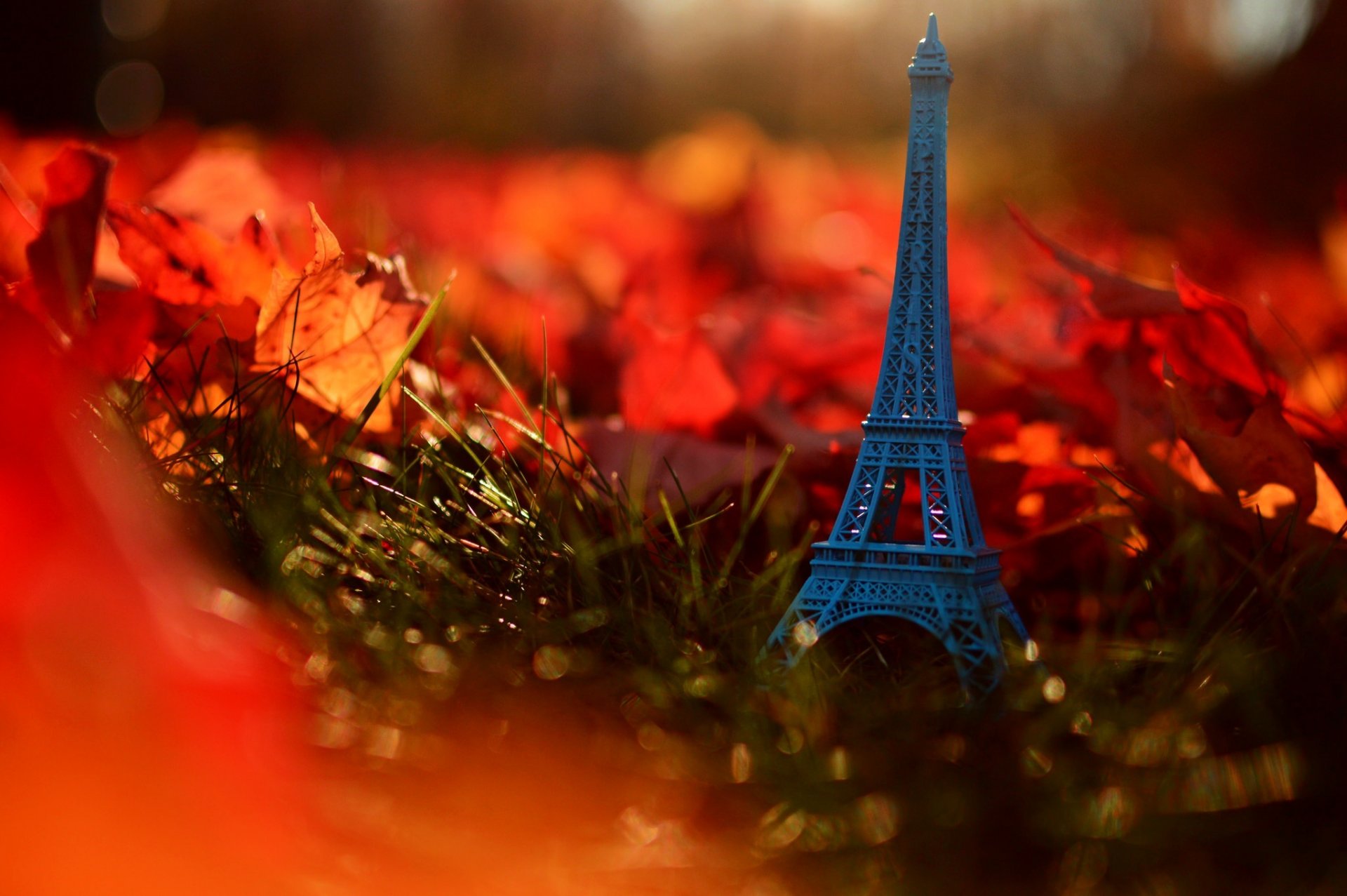 autunno foglie natura erba torre eiffel parigi francia