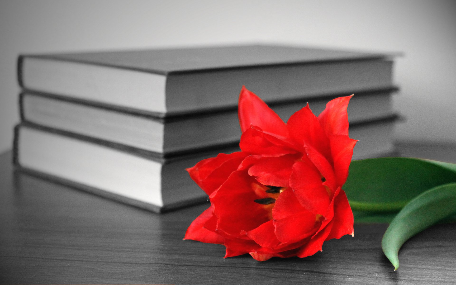 books flower red table