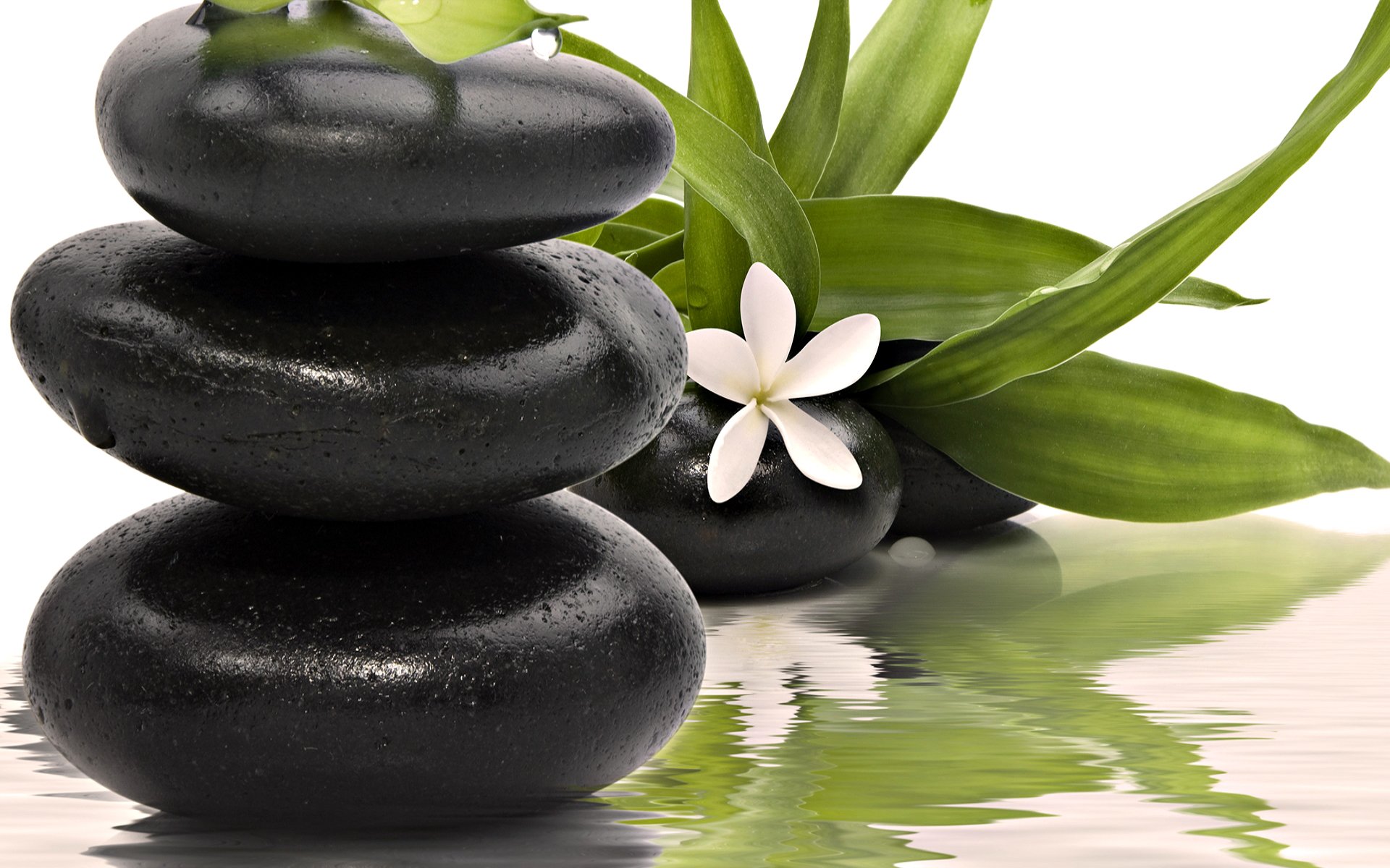 spa piedras flor kbcnmz agua