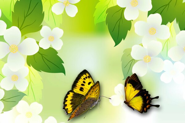 Mariposas de color amarillo limón en jazmín en flor