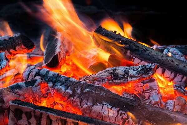 Llama del fuego con los troncos cubiertos ceniza