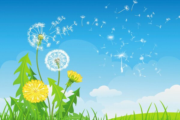 A blooming dandelion against a bright blue sky