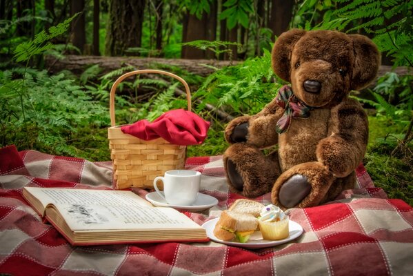 Ours en peluche dans la nature avec un livre