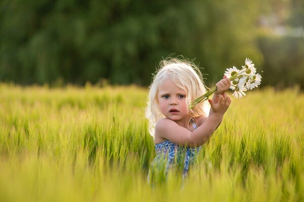 Mädchen mit blonden Haaren in einem Feld mit Gänseblümchen in den Händen