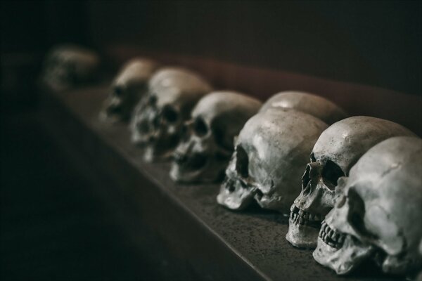 Cráneos humanos sobre un fondo oscuro