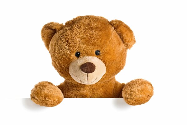 Teddy bear toy and paws